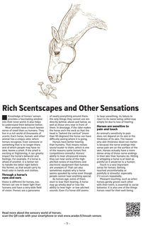 Mind of a Horse, The