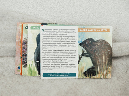 Pingviini, joka halusi lentää ja muita tarinoita