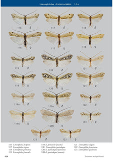 Suomen vesiperhoset - Trichoptera of Finland
