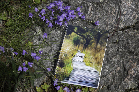 Rohkaiseva yrittäjyyden käsikirja