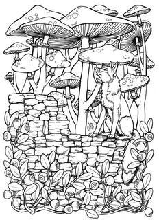 Jasu Wonder World Coloring Book