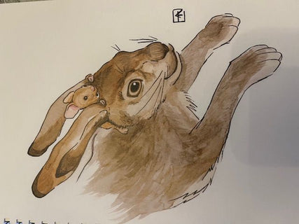 Metsähiiri Apodemus ja uusi ystävä