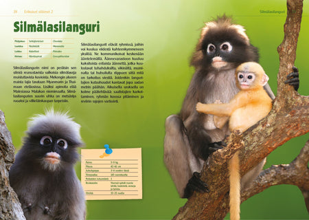 Erikoiset eläimet 2