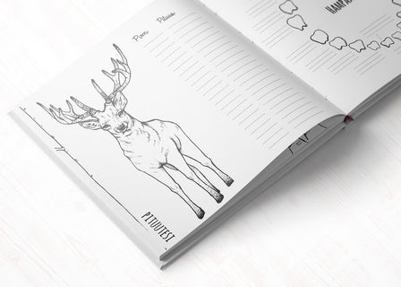 Pienen suuri seikkailu jatkuu