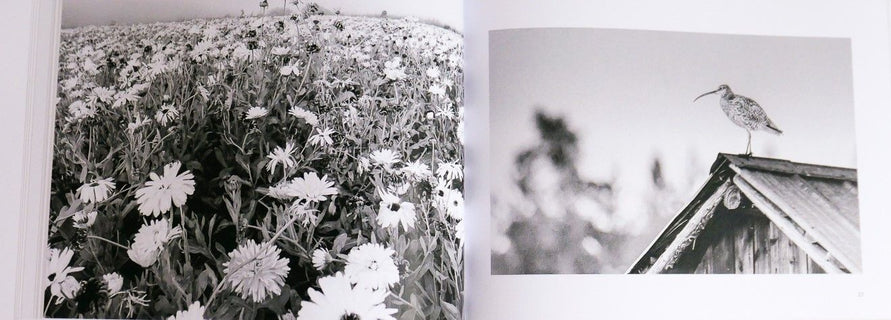 Kuulen tuulen korvissani