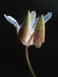 Veden horisontit - Horizons of water