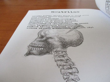 Ämpärinjonottajien sukua