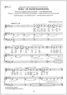 Yksinlauluja 2 / Solosånger 2 / Solo Songs 2 - Voice & piano