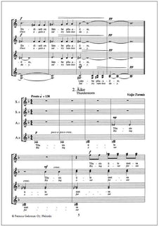 Suvemotiivid - Summer Motifs for women's chorus