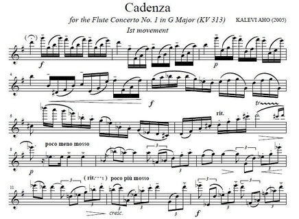 Cadenzas for Flute Concerto No. 1 In G Major (KV 313) by W.A. Mozart