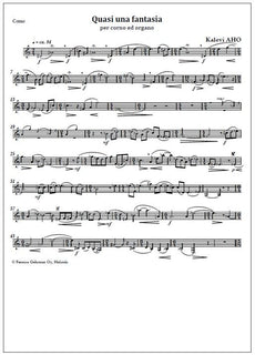 Quasi una fantasia for horn and organ