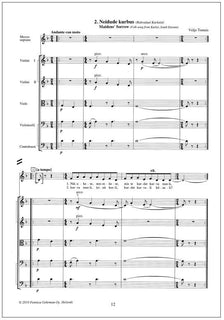 Kurvameelsed laulud (Melancholy Songs)  for mezzo-soprano and strings - Score & parts