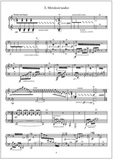 Luonnonjumala (God of Nature) - Suite for harp