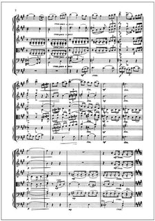 Elegy for string orchestra - Score & parts (33221)