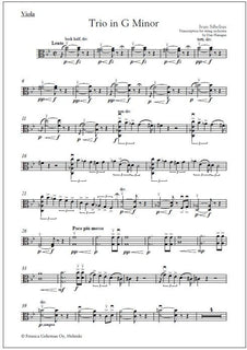 String Trio in G Minor - Transcription for string orchestra