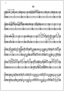 Double concerto for two bassoons and orchestra - Solo part