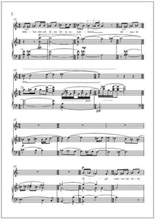 Fågelmänniska for mezzo-soprano and piano