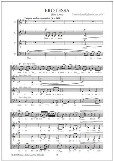 Eino Leino -sarja sekakuorolle - Mixed choir