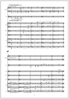 Concerto for kantele, violin and string orchestra - Study score