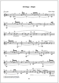 Garden of Etudes for guitar