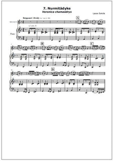 N-sarja (N Suite) for clarinet and piano