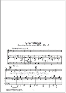 K-kokoelma (K Collection) for clarinet and piano