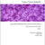 Tuotteen Three pieces for solo violin - Sliding Mine, Itch &amp; Ague pikkukuva 1