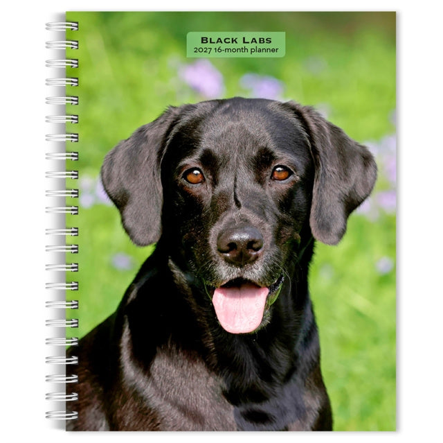 Valokuva kirjasta BrownTrout Black Labrador Retrievers | 2027 6 x 7.75 Inch Spiral-Bound Wire-O Weekly Engagement Planner Calendar | New Full-Color Image Every Week | BrownTrout | Animals Dog Breeds, kuuluu tuoteryhmään Muut ulkomaiset kirjat.