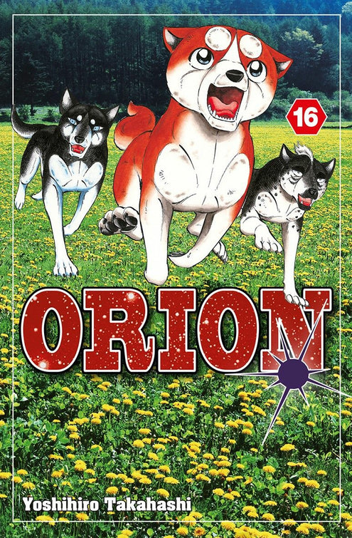 Orion 16