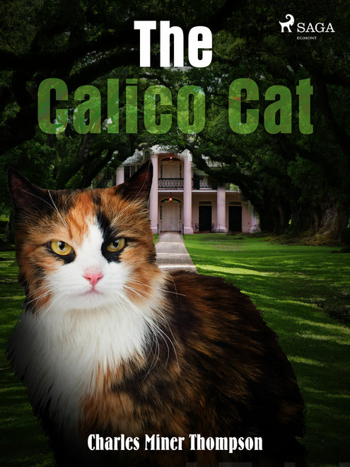 Calico Cat, The