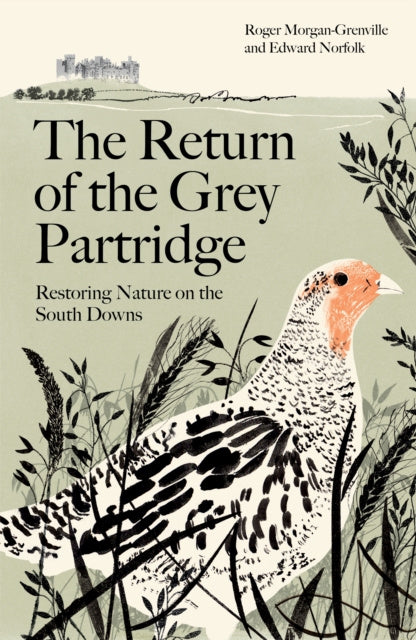 Return of the Grey Partridge, The