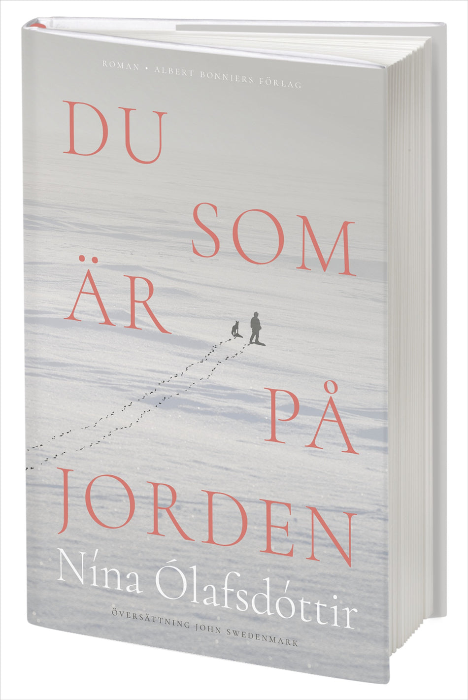 Valokuva kirjasta Nína Ólafsdóttir Du som är på jorden, kuuluu tuoteryhmään Ruots kaunokirjat.