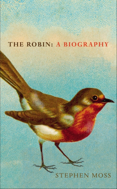 Robin, The