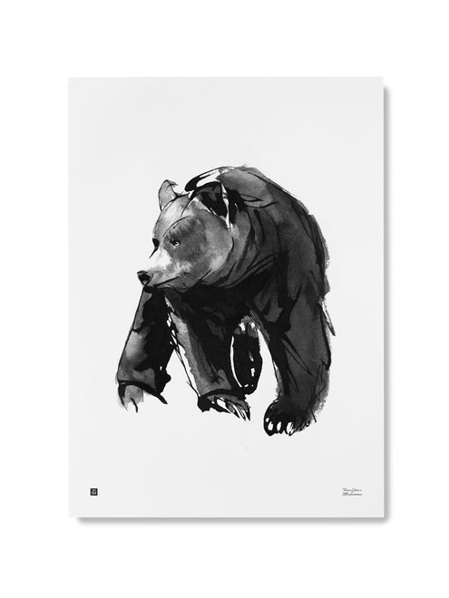 Juliste Teemu Järvi Lempeä karhu 50x70 cm