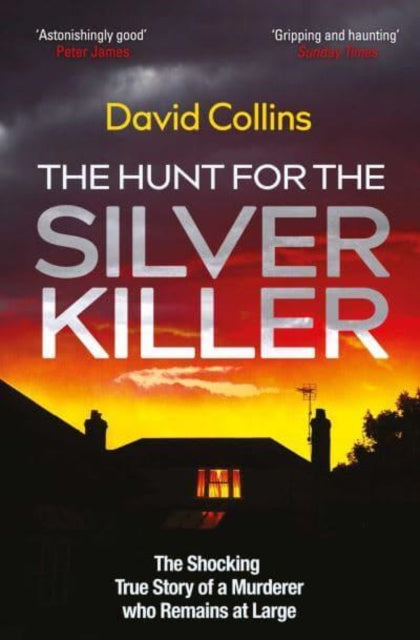 Hunt for the Silver Killer, The