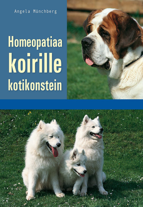 Homeopatiaa koirille kotikonstein