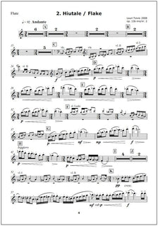 Suite for flute and piano op 13b