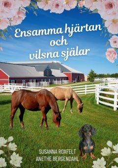 Valokuva kirjasta Anethe Bergendahl / Susanna Roxfelt Ensamma hjärtan och vilsna själar, kuuluu tuoteryhmään Ruots kaunokirjat.