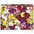 Palapeli 1000 palaa Orchid Collage