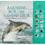 Barnens bok om havens djur : fantastiska djur med bilder och läten