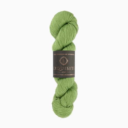 Lanka Exquisite 4PLY 100g 401 Eden West Yorkshire Spinners